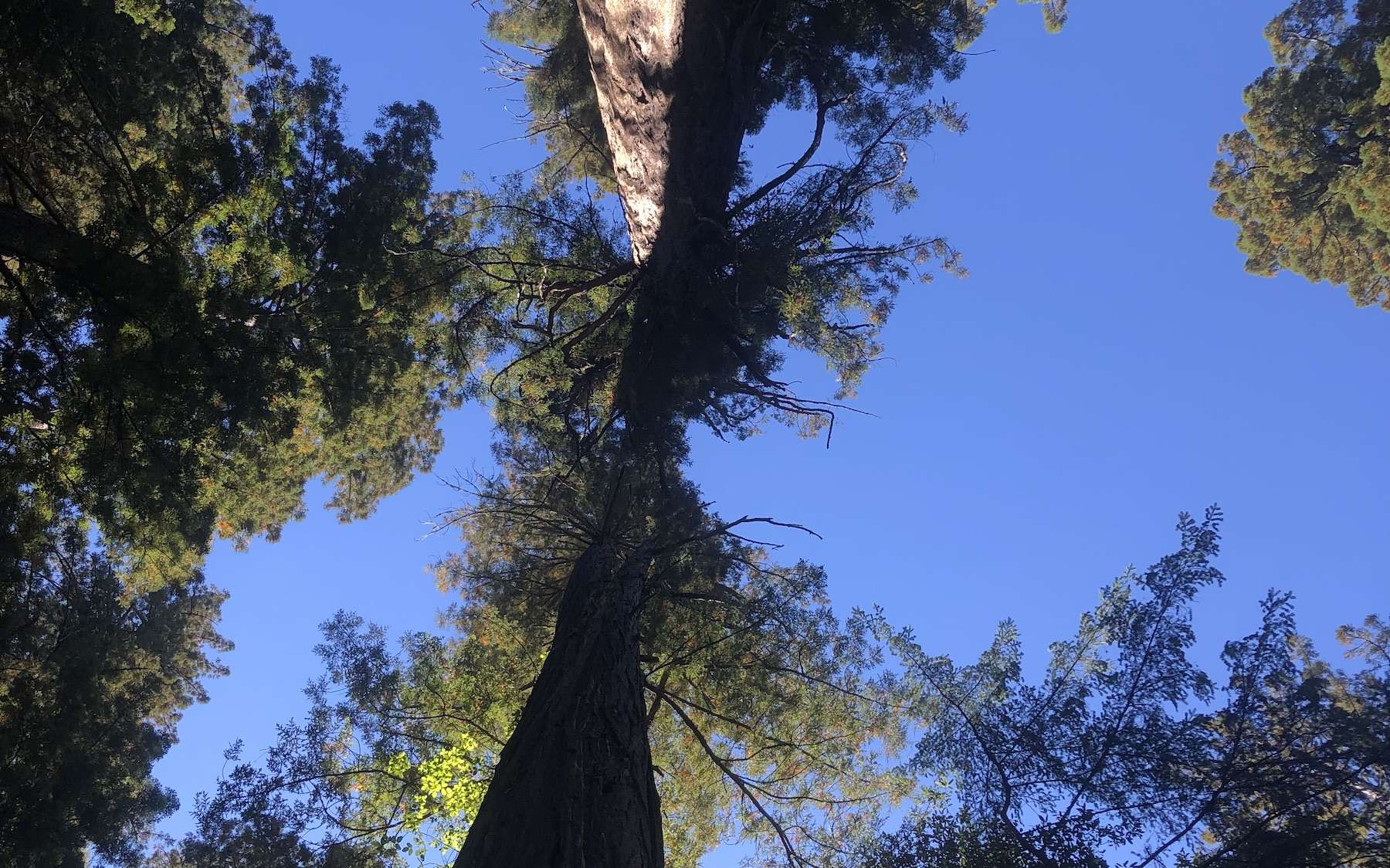 Campout at Salt Point